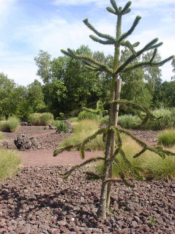 Parc des oiseaux (25)